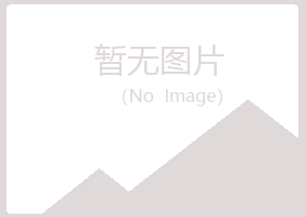 南川晓夏咨询有限公司